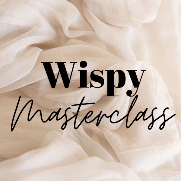 Training - NYC Wispy Lash Masterclass